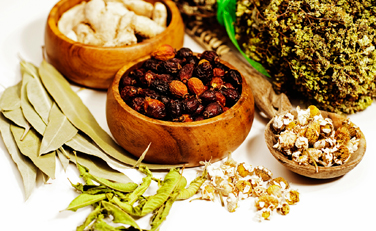 Ayurveda Therapy In Bhopal